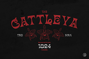 BuckOne, a Serif Font by inumocca_type (Thumbnail 2 of 14)