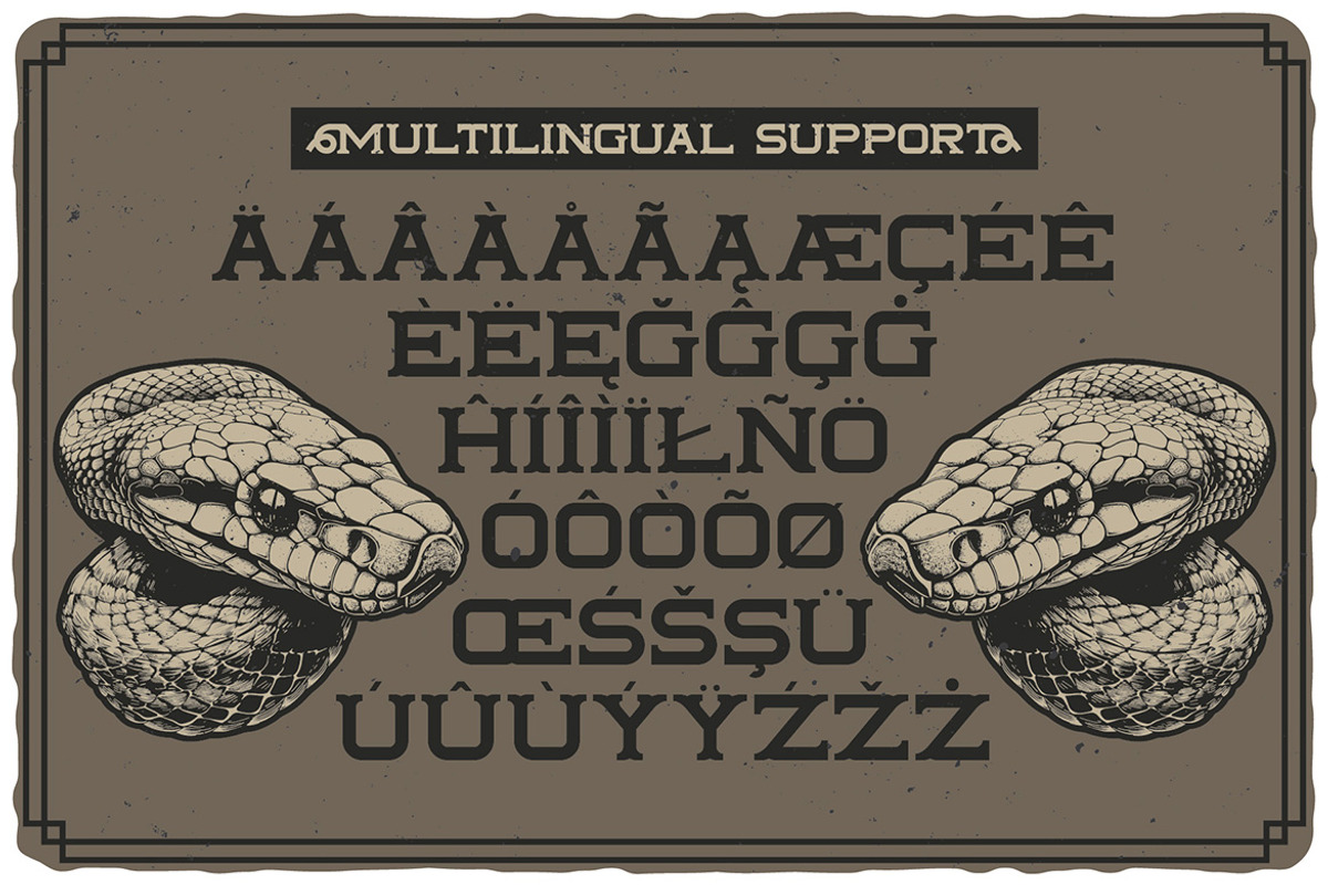 Tailface Vintage Layered Font, a Serif Font by JumboDesign (Photo 4 of 6)