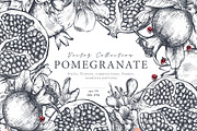 Pomegranate Fruit Vector Set, a Food Illustration by Molly art (Thumbnail 1 of 8)