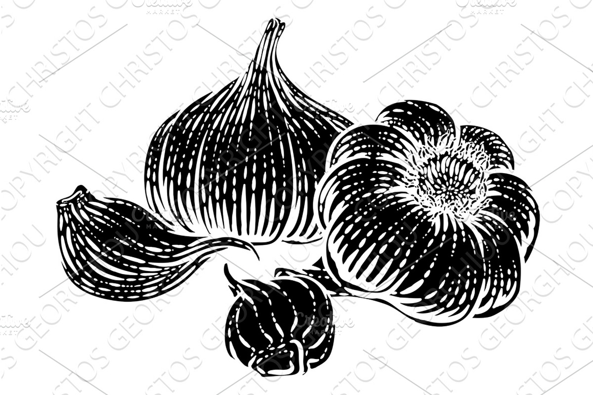 Garlic Vegetable Vintage Woodcut, a Food Illustration by Christos Georghiou