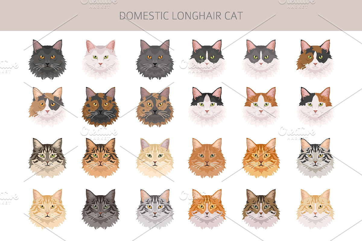 Domestic longhair cat, an Animal Illustration by pet design shop (Photo 5 of 6)