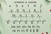 Christmas Font - Family Blessings, a Serif Font by Mozatype (Thumbnail 9 of 9)