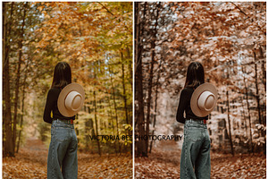 30 MOODY AUTUMN PRESETS