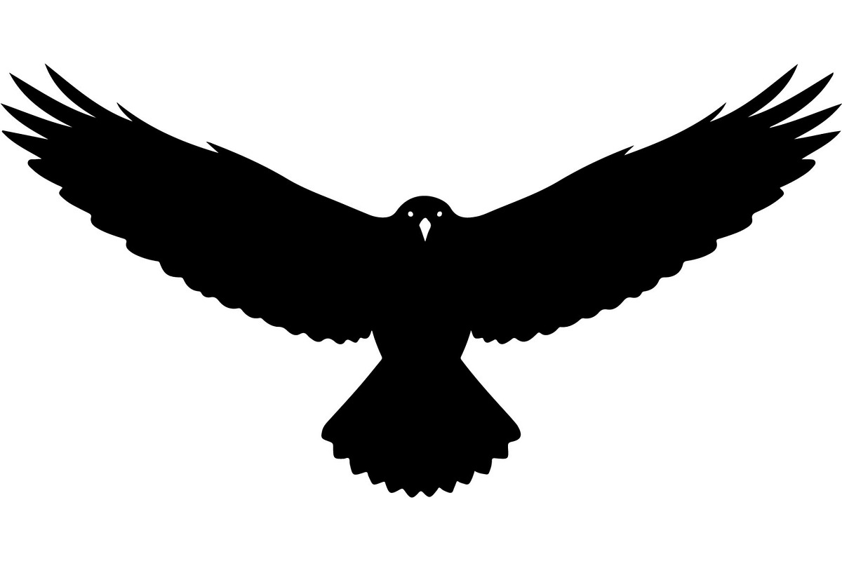 Bird Silhouette Vector Mega Bundle, an Animal Illustration by Designer_Momina (Photo 8 of 21)