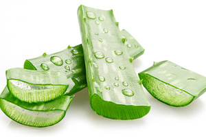 Fresh cuts of aloe Vera leaf covered with water drops isolated o, a Health & Medical Photo by Volff