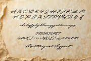 Sophistico, a Script Font by Abo Daniel Studio (Thumbnail 9 of 10)