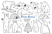 Polar Arctic Bear Clipart PNG SVG, an Animal Illustration by ArtGiftsStudio (Thumbnail 1 of 5)