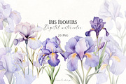 Iris Flowers, a Decorative Illustration by Vasmila (Thumbnail 1 of 9)