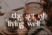 Vicky Christina Ligature Serif Font, a Serif Font by SilverStag Type Foundry (Thumbnail 12 of 25)
