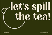 FIBULAR SANS - Variable Display Type, a Sans Serif Font by Artflorara (Thumbnail 3 of 23)