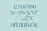 Anthalie - Elegant Modern Serif, a Serif Font by Luna Shop (Thumbnail 3 of 9)