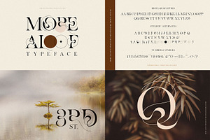 The Ultimate Font Bundle