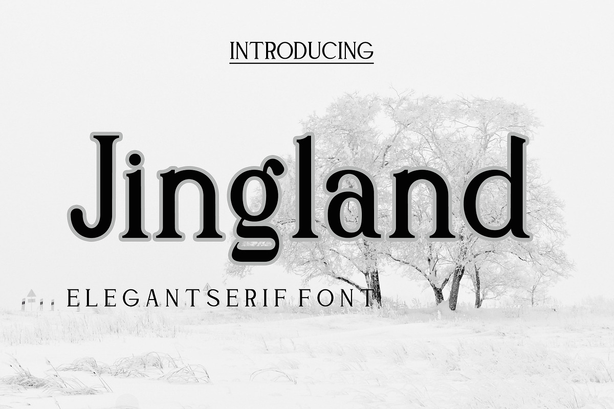 Jingland, a Serif Font by Canden Meutuah (Photo 1 of 6)