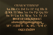 Biooris || Modern Classy Serif Font, a Serif Font by Ermedia Studio (Thumbnail 10 of 10)