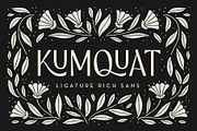 Kumquat Ligature Sans, a Sans Serif Font by Rachel Kick (Thumbnail 1 of 14)