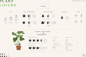 Plant Lovers Collection