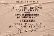Magofah Modern Serif Font, a Script Font by Storytype Studio (Thumbnail 7 of 9)
