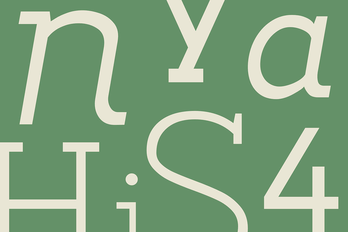 Noirda Slab Serif, a Slab Serif Font by Hanaksara Studio (Photo 5 of 11)