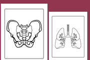 Anatomy Coloring Pages for kids, an Education Illustration by Sourcedigi (Thumbnail 2 of 3)
