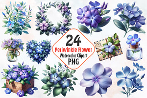 Periwinkle Flower Watercolor Clipart, an Illustration by RobertsArt