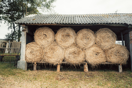 Grain Harvesting preview 6