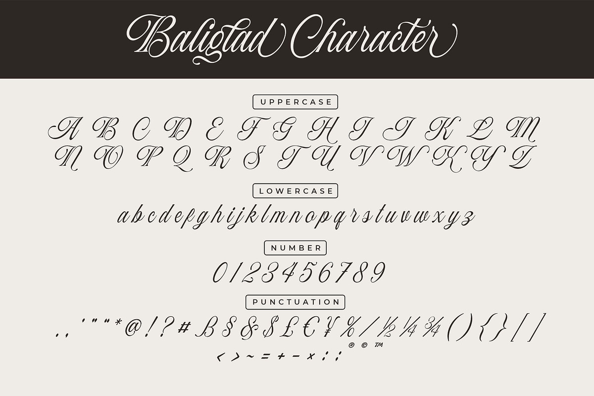 Baliglad – Stylish Calligraphy Font, a Script Font by Honestype (Photo 11 of 12)