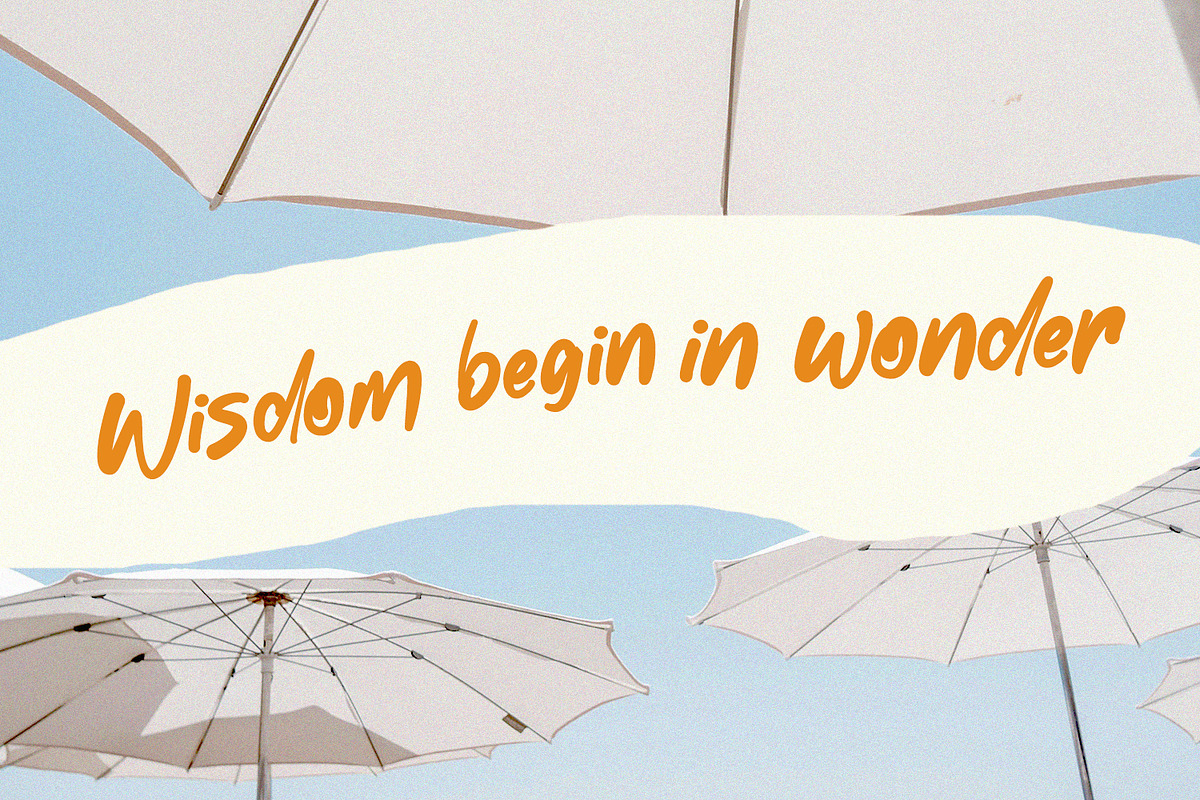 Festus Magiest Casual Script Font, a Script Font by Maulana Creative (Photo 6 of 7)