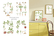 Watercolor Life Cycle Bundle 2, an Education Illustration by MayaNavits (Thumbnail 4 of 14)