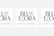 Wilde Ocean | Calligraphy Serif Font, a Serif Font by KA Designs (Thumbnail 3 of 13)