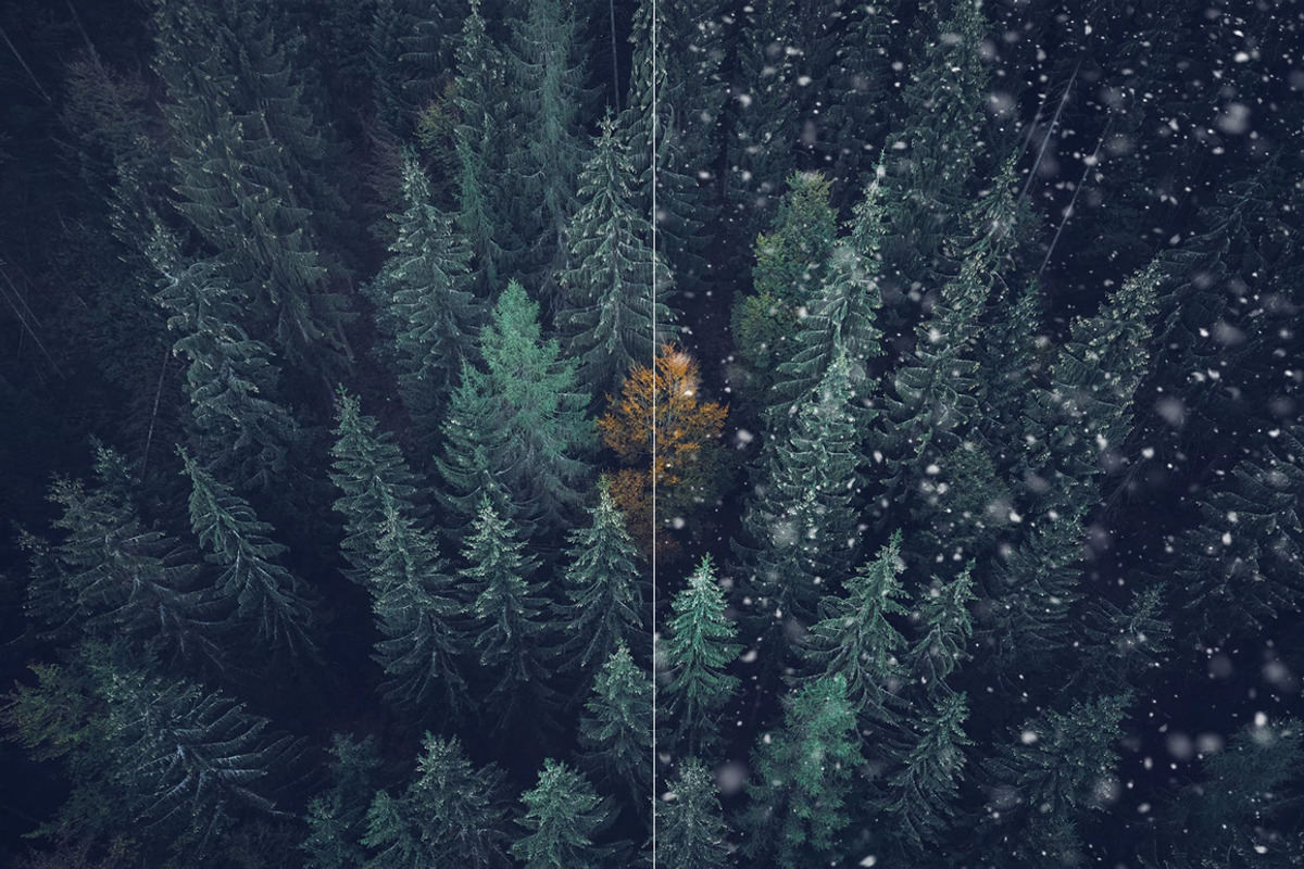 100 Snow Photoshop Brushes, a Brush Add-On by ArtistMef (Photo 5 of 8)