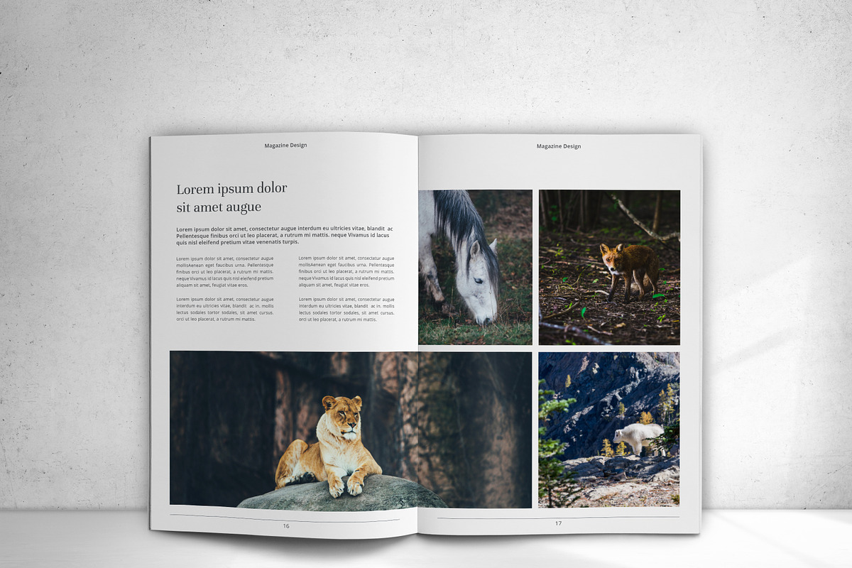 The Magazine, a Magazine Template by design_pick (Photo 14 of 22)