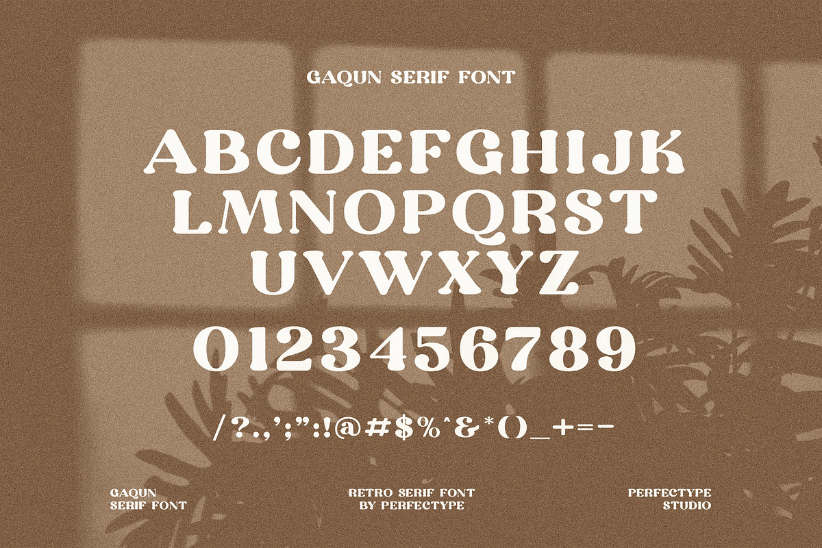 Gaqun Serif Font, a Serif Font by Perfectype (Photo 10 of 10)