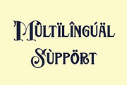 Chadwick, a Serif Font by LetterStock (Thumbnail 4 of 6)