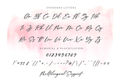 Anitto - Calligraphy Font (30%OFF), a Script Font by Pen Culture (Thumbnail 10 of 12)