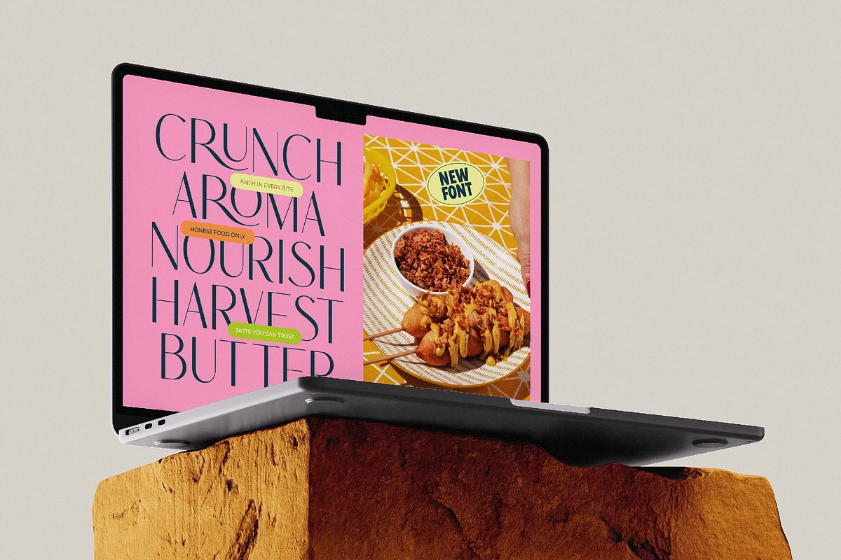 Bromlis Elegant Display Sans Serif, a Sans Serif Font by AmorfaType (Photo 2 of 11)