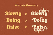 Shine Coasty - Retro Serif Font!, a Serif Font by HansCo Studio (Thumbnail 4 of 9)