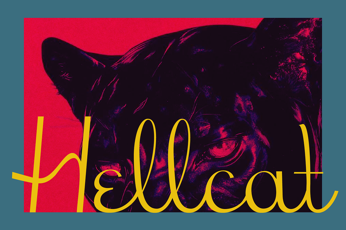 Hellcat - Groovy Retro Script, a Font by Press & Pen (Photo 1 of 8)
