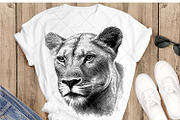 LION FAMILY set, an Animal Illustration by IPVector (Thumbnail 8 of 13)