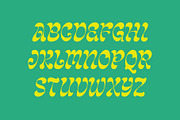Luizane Groovy Font, a Font by Panatype™ Studio (Thumbnail 3 of 10)