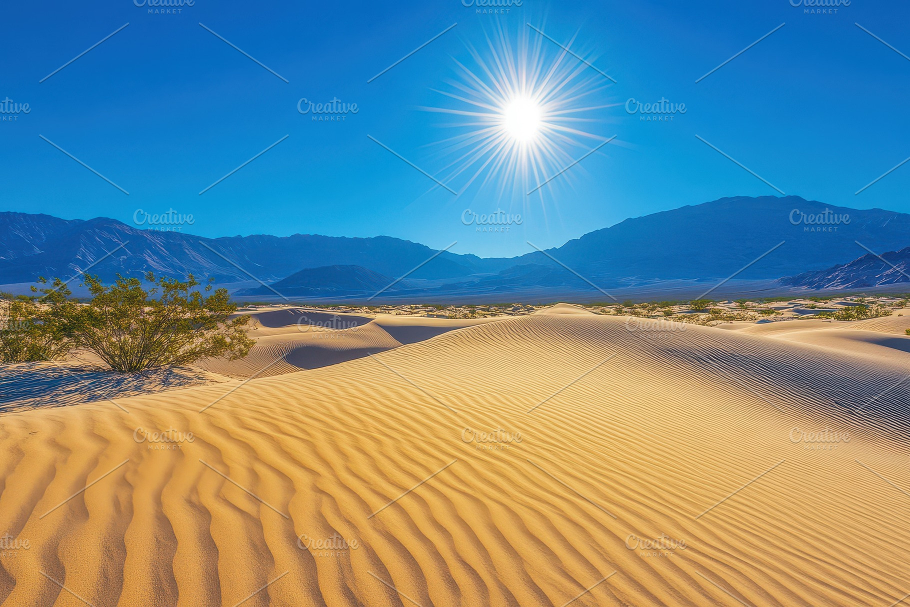 Sunlit desert landscape showcasing r, a Photo by Iftikhar Alam