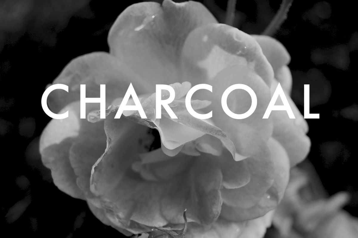 Quick B+W, an Action Add-On by Little Type House (Photo 6 of 11)