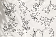 Floral Garden - Floral Line Art, an Illustration by IllustratorAnnie (Thumbnail 9 of 10)