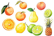 UHD Fruit Illustrations, an Object Graphic by crafty (Thumbnail 4 of 4)