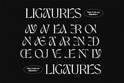 TAN - WAVERLY, a Serif Font by TanType (Thumbnail 13 of 22)