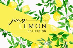 Juicy Watercolor Lemon Set
