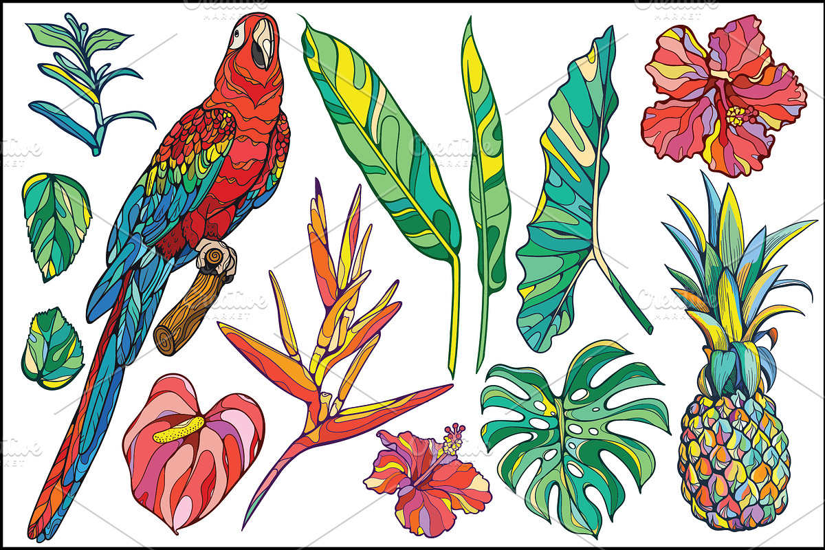 Welcome to the Jungle!, a Background Graphic by Purple Platypus (Photo 2 of 7)