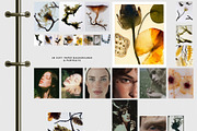 Botanical & Nature Collage Kit, an Object Graphic by Purple (Thumbnail 8 of 11)