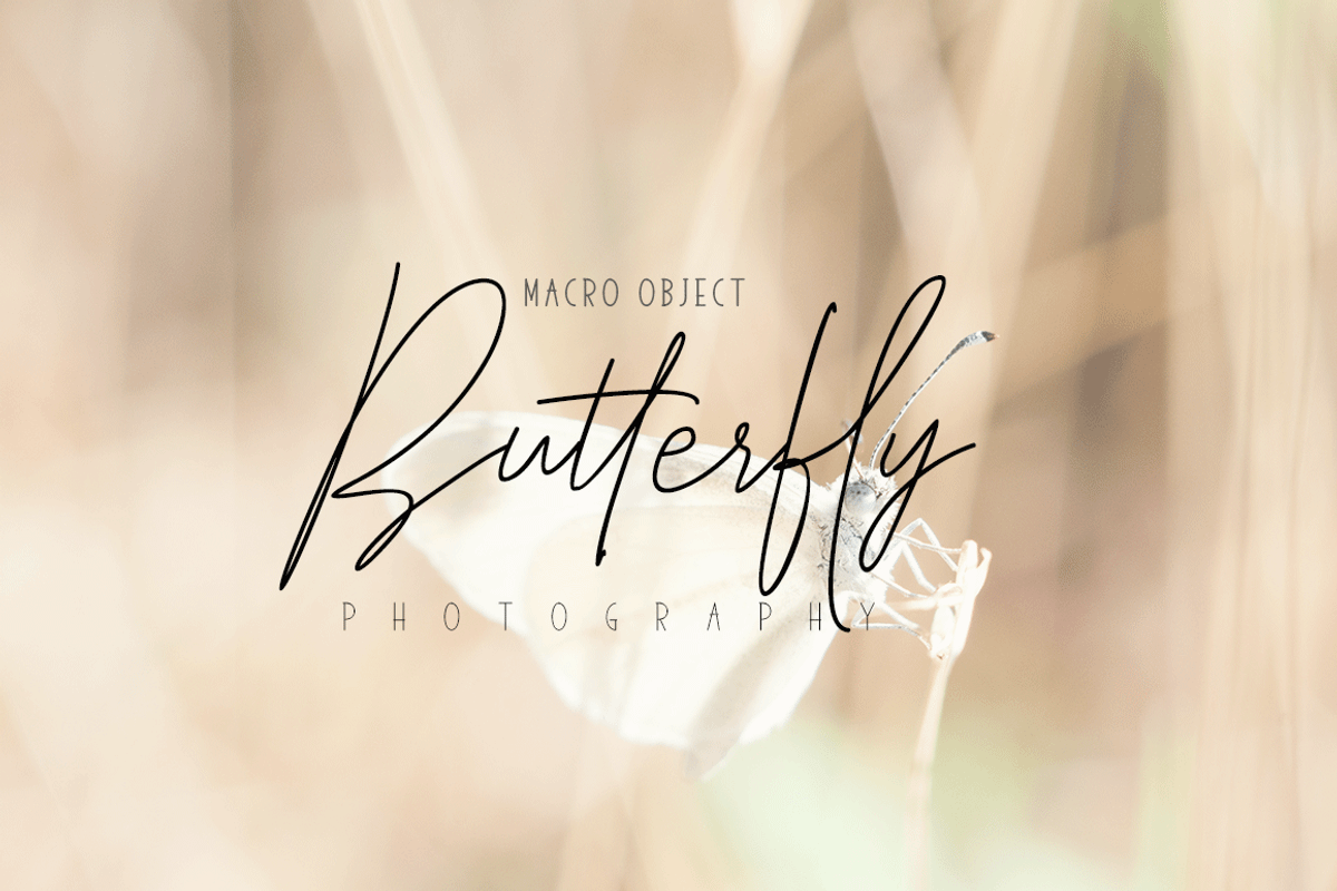 Elegantly&Modest FontDuo preview 6