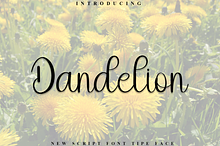 Dandelion