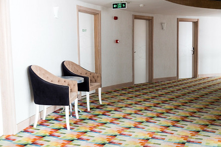 Art Nouveau armchairs stand between rooms in the corridor of a T, an Architecture Photo by TanaCh